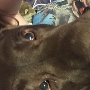 Meet your Posher, Tara